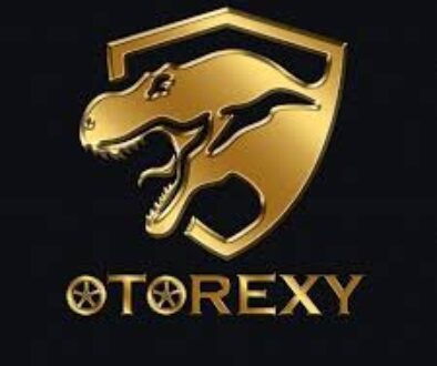 Franchise OTOREXY Car Wash and Detailing, franchise cuci mobil, bisnis car wash, usaha detailing mobil, peluang usaha otomotif